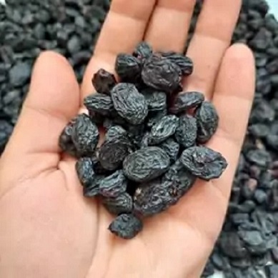 تصویر 2 از قیمت مویز بدون هسته ایرانی + خرید باور نکردنی